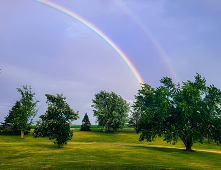 Double Rainbow Over the Oaks